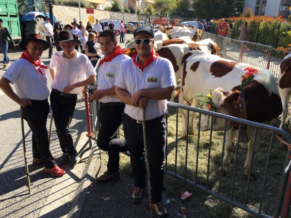 annecy,fete,agriculture,alpage