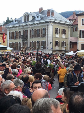 annecy,retour des alpages,2016,haute-savoie