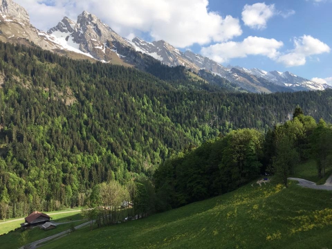 le grand bornand,tractage,campagne,boitage,aravis