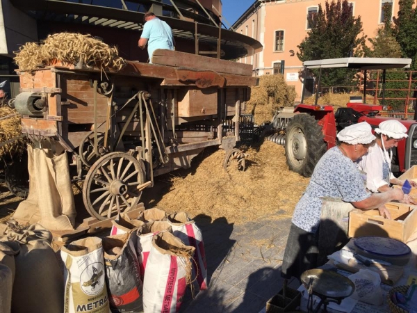 annecy,fete,agriculture,alpage