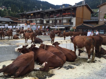 la clusaz,foire de la croix,champ giguet,haute-savoie