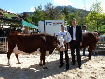 grand-bornand,foire,vache,reblochon,concours,agriculture